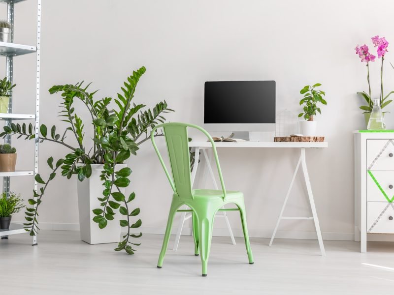 minimalist-workplace-surrounded-by-plants.jpg